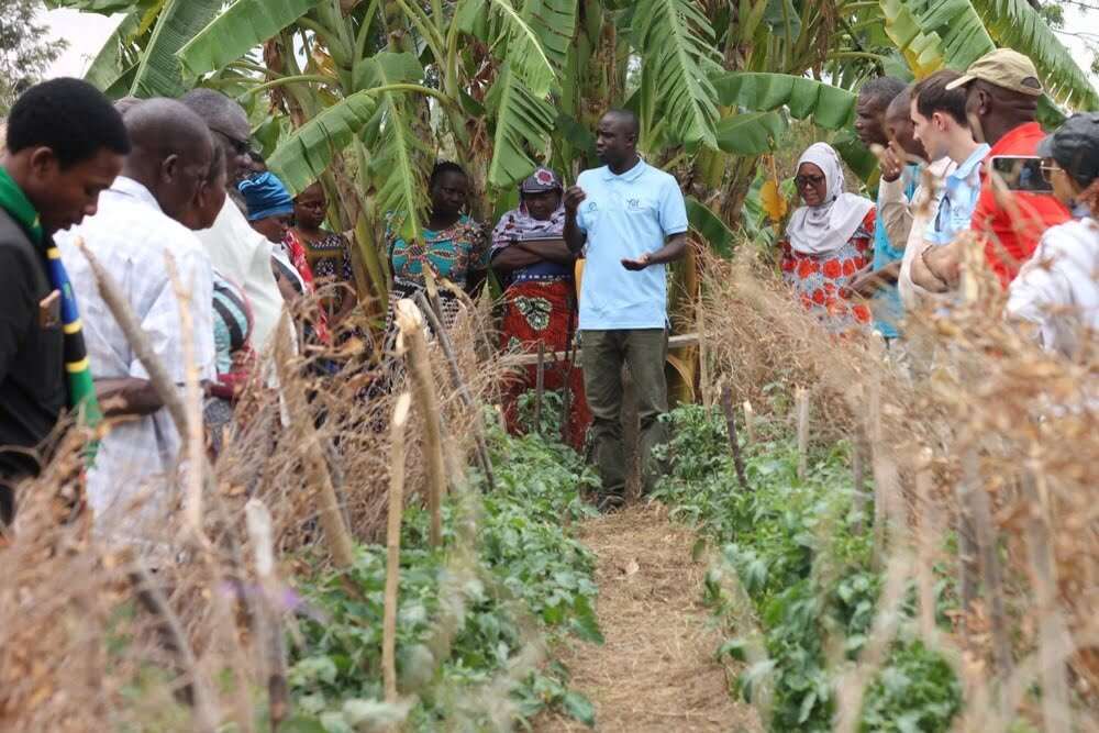 tyegd_kilimo_thabiti_images (243